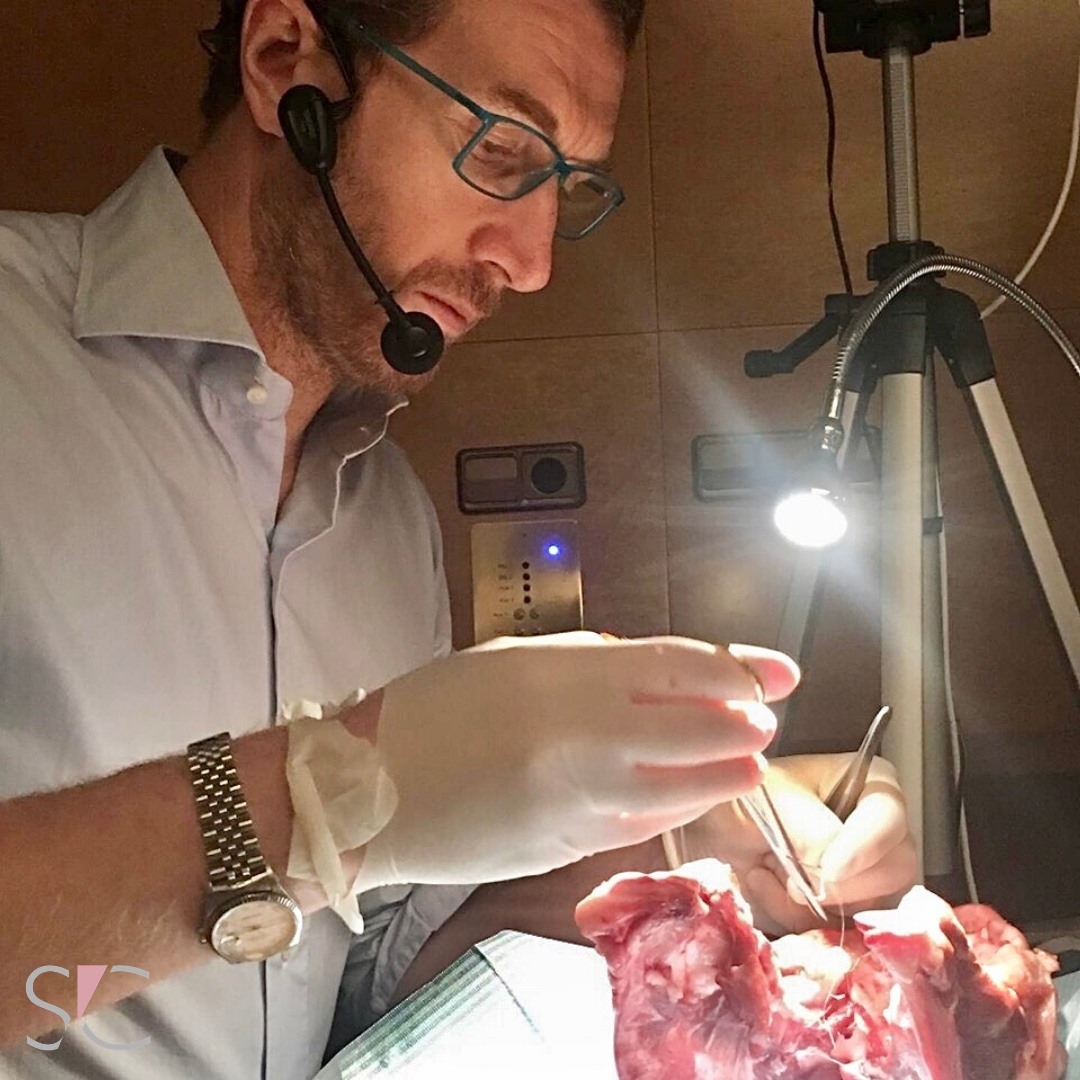 73090946_1199473223577200_6110646621391814656_n