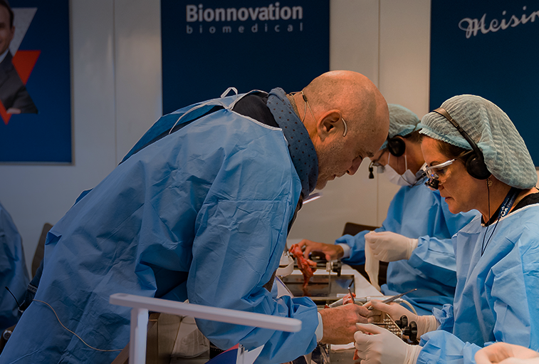 Banner1_CURSO_ZUCCHELLI